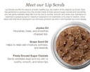 Sara Happ The Lip Scrub: Exfoliating Lip Treatment, Moisturizer For Dry And Flaky Lips (Coconut)