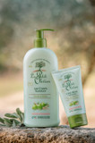 Express Moisturizing Hand Cream - Aloe Vera And Green Tea - Express Moisturizing - No Greasy Or Sticky Feeling - Skin Is Soft And Silky - For Normal To Dry Skin - 2.5 Oz