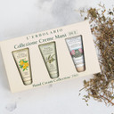 L'Erbolario Hand Cream Collection 2 - Olive Oil Cuticle And Nail Care Lotion - Lemon And Rose Perfumed Moisturizing Hand Lotion For Smooth Skin - 3 Pc