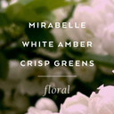 Lollia Elegance Handcreme, 4 Oz.  White Amber & Mirabelle  Scented Hand Cream For Women, Moisturizing Hand Lotion For Dry Hands, Shea Butter & Cocoa Butter, Quick Absorbing Lotion