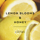 Lemon Blooms & Honey Handcreme, 4 Oz., Hand Lotion For Women, Hand Cream For Dry Cracked Hands, Moisturizing Hand Cream, Shea Butter Lotion, Paraben Free And Vegan