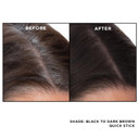 Everpro Gray Away Root Touchup Quick Stick, Black/Dark Brown, 0.1 Oz