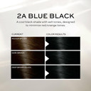John Frieda Precision Foam Colour, Blue Black 2A, Full-Coverage Hair Color Kit, Anti-Fade Gray Coverage, Deep Color Saturation Hair Dye, 1 Application