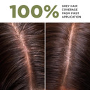 Lazartigue La Couleur Absolue, Permanent Hair Color With Botanical Extracts, Chestnut, Full Grey Coverage Coloring Kit, Vegan, Cruelty-Free, Ammonia-Free