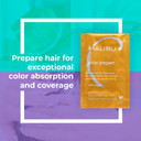 Malibu C Color Prepare Wellness Hair Remedy - Extends Hair Color Vibrancy & Counteracts Discoloration, Dullness & Brassiness - Made With A Blend Of Antioxidants
