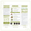 Naturtint 2N Brown Black Hair Color, 5.07 Fz