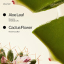 Eva Nyc Bounce Back Curl Reviving Mist, 5 Fl Oz