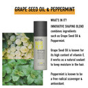 Kms Hairplay Molding Paste