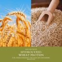 Smartsolutions Incredible Holding Spray, 10 Oz | 24-Hour Hold | Resists Humidity | Tames Frizz | Non-Sticky | No Flakes