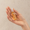 Alfaparf Milano Semi Di Lino Sublime Cellula Madre Beauty Genesis Vials - Argan Ampoules For Radiant And Healthy Hair - Protects Color - Adds Shine (12 Vials / 0.44 Fl. Oz. Each)