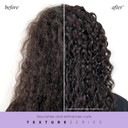 Hask Bonus Moisture Recovery Mask With Kukui Nut Oil & Pineapple Enzymes For Wavy, Curly, Coily & Kinky Hair, Hydrates, Softens, Prevents Damage, Vegan, Sulfate-Free, Cruelty-Free  8 Fl Oz
