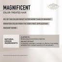 Il Salone Milano Professional Magnificent Mask - Moisturizing Hair Mask For Color Treated Hair - Provides Lasting Color Protection + Shine - Vegan, Salon-Quality Hair Care (16.9 Oz / 500 Ml)