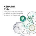 Phyto Paris Repair Restructuring Conditioner, Vegan, Silicone Free Conditioner, Repairing, Strengthening For Damaged Hair And Brittle Hair, 5.91 Fl.Oz