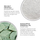 Phyto Scalp Solutions Purifying Cleansing Scrub  Exfoliating Sea Salt & Eucalyptus Scalp Detox  Silicone & Sulfate-Free  Refreshes & Balances Oily Scalp  7.05 Oz