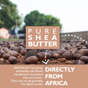 Saryna Key Damage Repair Light Treatment Oil (105Ml/3.55Oz)