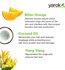 Yarok - Feed Your Youth Organic Hair & Scalp Serum - Transform, Repair & Strengthen - Promotes Hair Growth - With Vitamins & Minerals - 100% Vegan - Gluten, Sulfate, Paraben & Cruelty Free - 1Oz Yarok - Feed Your Youth Organic Hair & Scalp Serum - Transform, Repair & Strengthen - Promotes Hair Growth - With Vitamins & Minerals - 100% Vegan - Gluten, Sulfate, Paraben & Cruelty Free - 1Oz