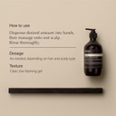 Aesop Volumizing Shampoo | Lifting Formulation For Volume And Body For Thin Or Fine Hair | Botanical Oils To Soften Hair And Add Shine | 16.9Oz / 500Ml