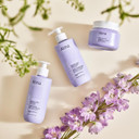 Alma K Smooth Curls Shampoo - Moisturizing Shampoo For Women - Moisturizing Shampoo For Curly Hair - Volumizing Shampoo For Curly Hair - 10.1 Oz