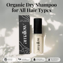 Non Toxic Dry Shampoo Powder  With Organic Ingredients - Arrowroot, Bentonite Clay, Aloe Vera, & Essential Oils  No Talc, No Aerosol - Men & Women - Great For Travel Non Toxic Dry Shampoo Powder  With Organic Ingredients - Arrowroot, Bentonite Clay, Aloe Vera, & Essential Oils  No Talc, No Aerosol - Men & Women - Great For Travel