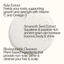 Bathing Culture, Organic Shampoo Kelp Forest, Natural Shampoo, Scalp Care & Scalp Exfoliator, Natural, Biodegradable, Sustainable, Vegan Personal Care, 8 Fl Oz, 237 Ml