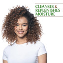 Biosilk Silk Therapy With Natural Coconut Oil Moisturizing Shampoo, Cleanses & Replenishes Moisture, Sulfate, Paraben & Cruelty-Free, 12 Oz