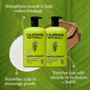 California Naturals Re:Gro Shampoo And Conditioner Set, Anti-Thinning & Hair Growth Support, All Hair Types, Vegan, Natural, Cruelty Free, Silicone, Paraben & Sulfate Free For Women & Men, 16.5 Oz