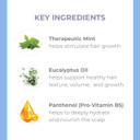 Derma-E Thickening Shampoo For Thinning Hair  Natural Hair Growth Shampoo  Sulfate Free Therapeutic Mint And Herbal Volumizing, 10 Oz