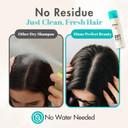 Organic Dry Shampoo Spray Without White Residue, Natural Dry Shampoo For Women & Men By Keratin, Ceramide, Jojoba Oil& Herbs Extract In Japan Travel Size 3.35 Oz Grapefruit & Mint