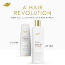 Dove Conditioner Argan Oil & Repair For Fine Hair With Bio-Protein Care Technology And Argan Oil Blend 12 Fl Oz