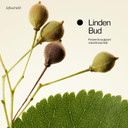 Eva Nyc Lift Off Volumizing Shampoo, 10 Fl Oz