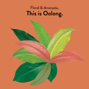 Choice Organics - Organic Oolong Tea (3 Pack) - Fair Trade - Compostable - Contains Caffeine - 48 Organic Oolong Tea Bags1 Count (Pack Of 48)