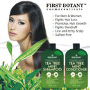 First Botany Tea Tree Mint Shampoo & Conditioner For Men & Women - Pure Tea Tree & Peppermint Oil - Fights Hair Loss, Dandruff, Lice & Itchy Scalp, Promotes Hair Growth - Sulfate Free - 16 Fl Oz X 2