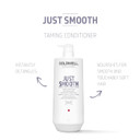 Goldwell Dualsenses Just Smooth Taming Anti-Frizz & Humidity Control Conditioner 1L