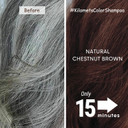 Chestnut Brown Hair Dye Shampoo 3 In 1- Hair Color Shampoo Grey Coverage In Minutes Ammonia Free Instant Coloring Gift For Mom Dad