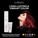 L'Anza Healing Colorcare Color Preserving Shampoo, Shampoo For Color Treated Hair To Protect Vibrancy And Restore Dry Damaged Locks, Healthy, Shiny, Protected Bleached & Dyed Colored Hair (33.8 Fl Oz)