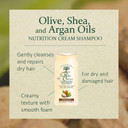 Nutrition Cream Shampoo - Olive, Shea, Argan Oils - Repairs Dry, Damaged Hair - Enriched With Natural Origin Ingredients - Free Of Silicone - 8.45 Oz