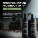 Live Bearded All-Natural Conditioner For Men - Promotes Hair Growth - Thinning And Hairloss - Deep Conditioning, Moisturizing | Straight Up - Fragrance-Free Unscented