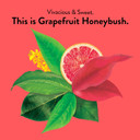 Choice Organics - Organic Grapefruit Honeybush Tea (3 Pack) - Organic Herbal Tea - 48 Tea Bags