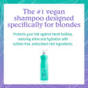 Malibu C Blondes Enhancing Shampoo - Sulfate-Free Purple Shampoo For Blondes - Helps Preserve Highlights & Remove Brassiness - Moisturizing & Revitalizing Hair Care