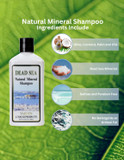 Malki Dead Sea Products Natural Mineral Shampoo | Dead Sea Shampoo For Vibrant And Healthy Hair | Eczema, And Psoriasis Support, Paraben Free Shampoo