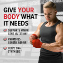 10X Health 5 Mthf Supplement - Methylated Multivitamin With Methylfolate & Magnesium For Brain, Heart Health, Dna & Neurotransmitter Synthesis - Bioavailable 5-Mthf Supplement - 60 Capsules