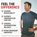 10X Health Berberine Supplement 500Mg - Contains Dihydroberberine Supplement For Better Absorption - Supports Cardiovascular & Gut Health Supplements For Women & Men - 30 Capsules