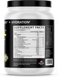 3-In-1 Endurance And Recovery, Hydration, Bcaa, Electrolyte Enhanced Drink (Wild Berry)