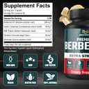 5-In-1 Berberine With Ceylon Cinnamon Milk Thistle Turmeric Artichoke - Supports Immune Function - 3 Month Supply - 90 Capsules