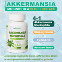 Akkermansia Muciniphila Probiotic For Gut Management - Glp-1 Boosting Supplement With Chicory Inulin, Turmeric, Resistant Starch, Vegan & Gluten Free - 30 Day Supply
