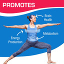 Alcar Acetyl L-Carnitine 500Mg - High Potency L Carnitine Supplement For Nerve Brain Memory Energy And Focus Support - Vegetarian Non-Gmo & Made In The Usa In Cgmp Facilities - 30 Servings