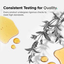 Amen Zinc & Copper Supplement + Probiotics, 3 Months Supply, One Per Day - 50 Mg Zinc Picolinate Vitamin Pills - Essential Minerals Supplements  2 Billion Cfus Probiotic  Vegan, Non-Gmo, 90 Capsules