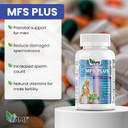 America Medic & Science Mfs Plus Fertility Supplements For Men (60 Capsules) Sperm Count Booster, Supports Motility | Natural Preconception Vitamins, Reproductive Aid, With Zinc, Coq10