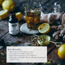 Anima Mundi Apothecary Cold'S & Flu Tonic - Immune Support Drops With Echinacea, Garlic, Turmeric Root & Fresh Ginger - Immune System Support Liquid Supplement (2Oz / 60Ml)