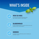 Approved Science Wild-Crafted Irish Sea Moss - Bladderwrack, Burdock - Immune, Heart, Thyroid, Gut Health, Anti-Aging Support - 60 Capsules